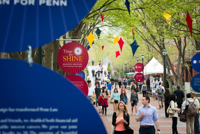 Trees on Penn's campus decorated with Kites